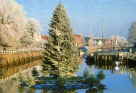 Schwimmender Weihnachtsbaum im Sielhafen von Carolinenisel