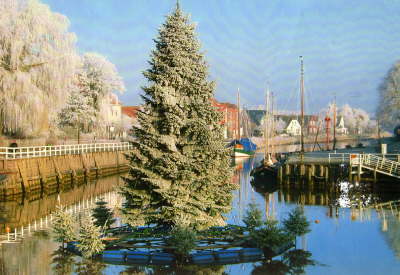 Schwimmender Weihnachtsbaum im Sielhafen von Carolinenisel