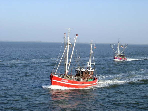 Fischfangflotte